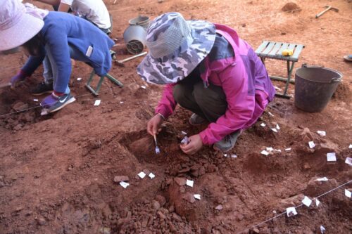 A person wearing a bright-pink jacket, brown slacks, tennis shoes, and a tan, brown, and black hat crouches on a patch of brown dirt with a small instrument in one hand and a bag in the other, collecting a sample from an archaeological site.